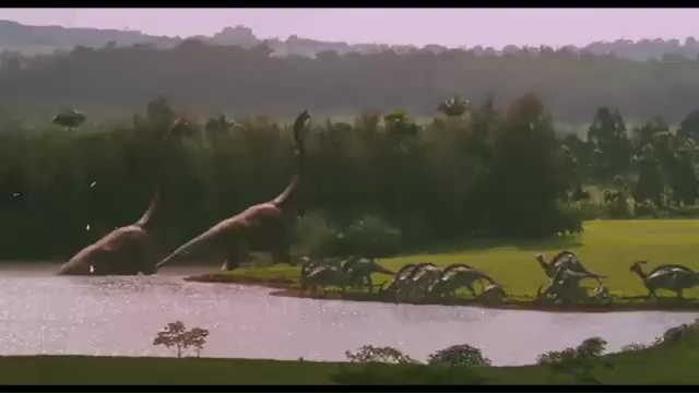 Paleontólogo obereño explicó por qué no hubo dinosaurios en Misiones