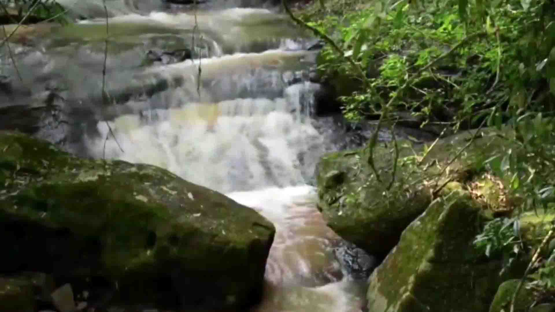 Selva misionera, Maravilla Natural
