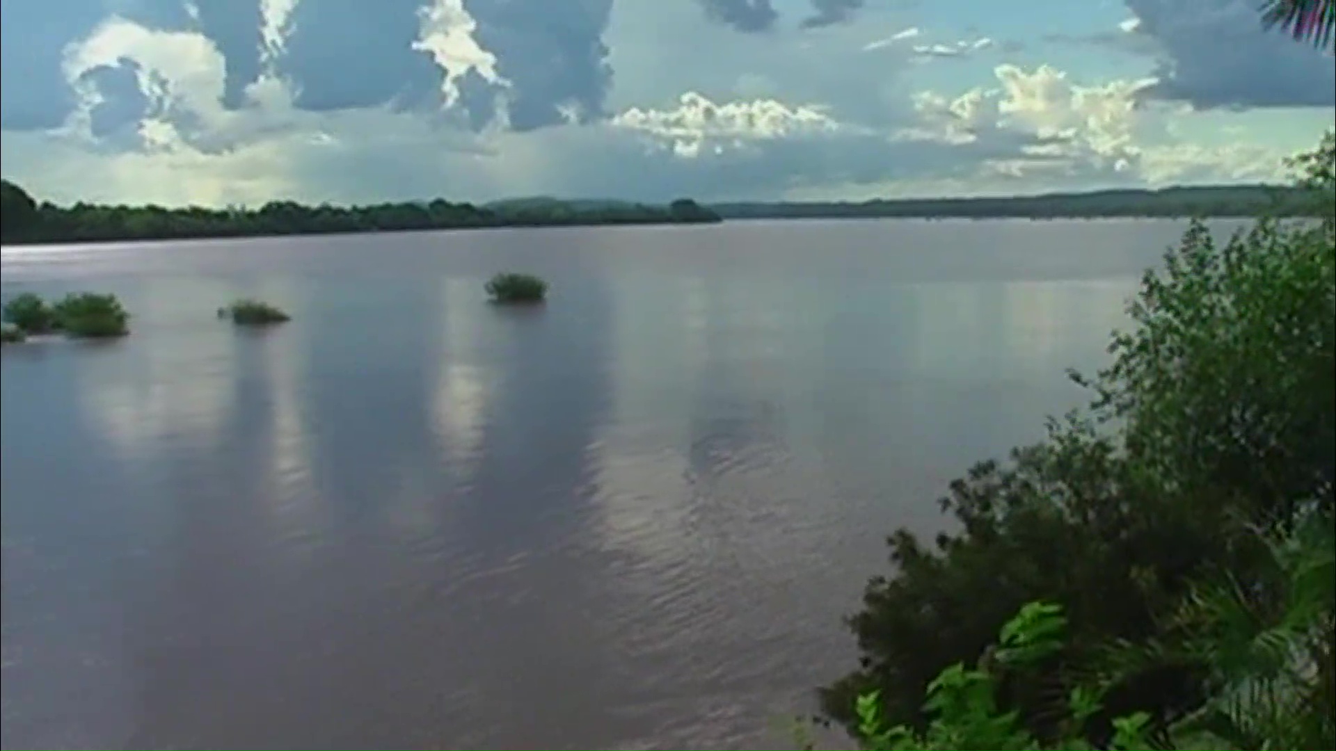 Operativo de limpieza del río Uruguay entre Misiones y Río Grande do Sul 