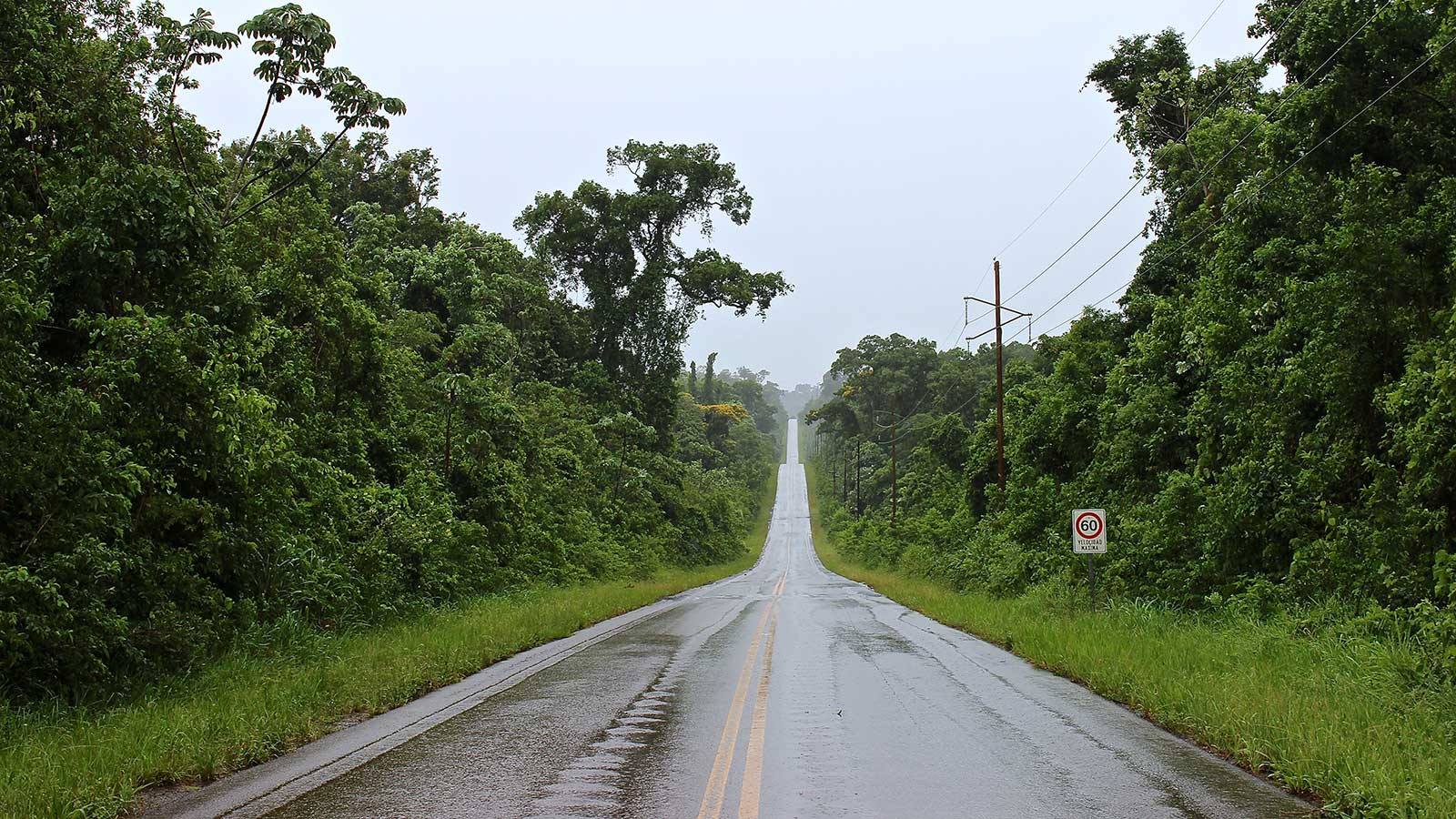 Se esperan lluvias y tormentas dispersas en toda la provincia