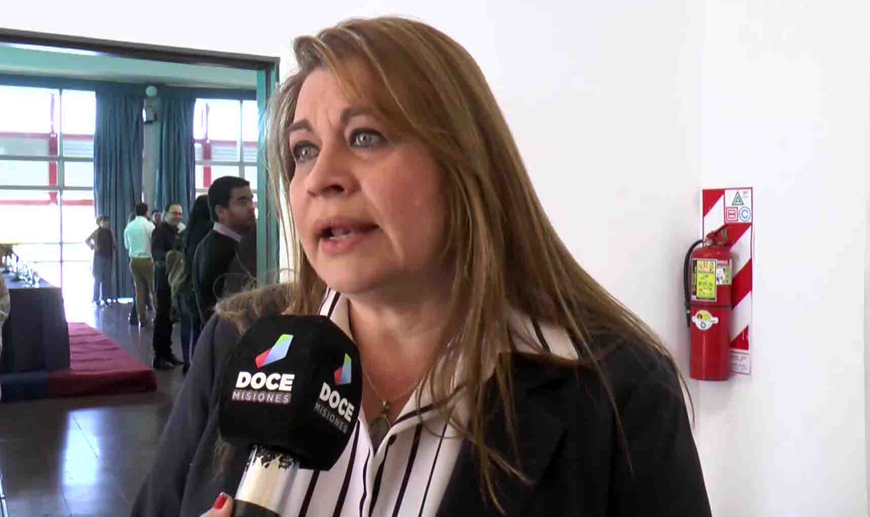 Elecciones: "la propuesta es llevar al Congreso la política misionerista"