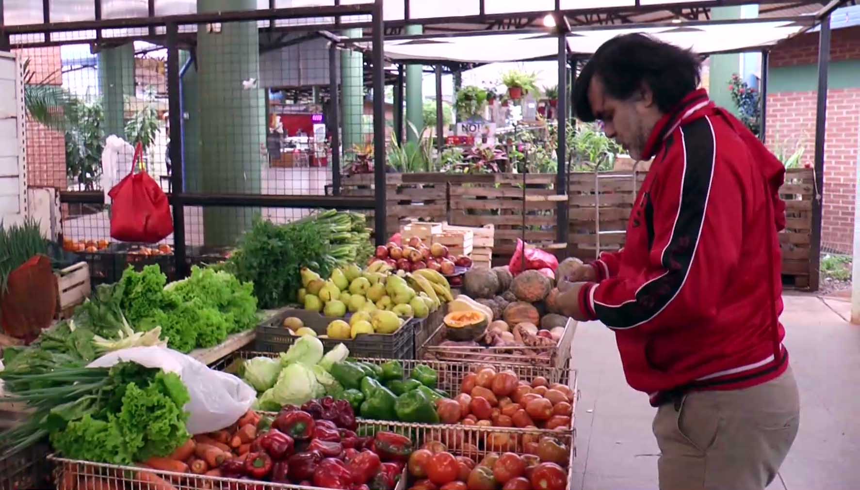 Mercado Concentrador: consumo sostenido y conveniente para economías familiares