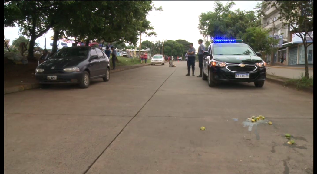 Accidente: vial m´byá guaraní, fue embestido cerca de la terminal