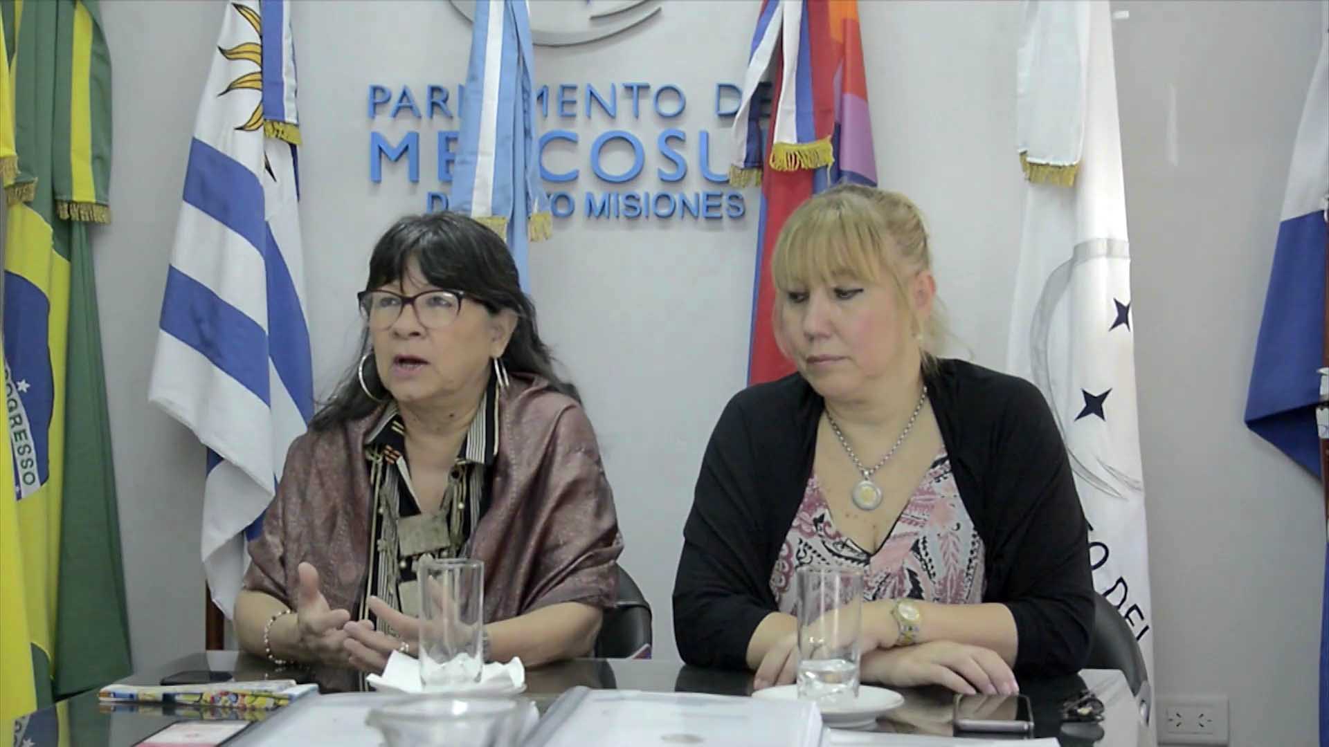 Representantes misioneras informaron sobre sus acciones en el parlamento del MERCOSUR