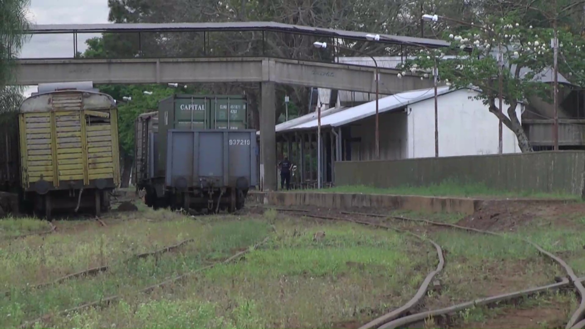Ramal que cierra: Misiones sin tren de cargas 