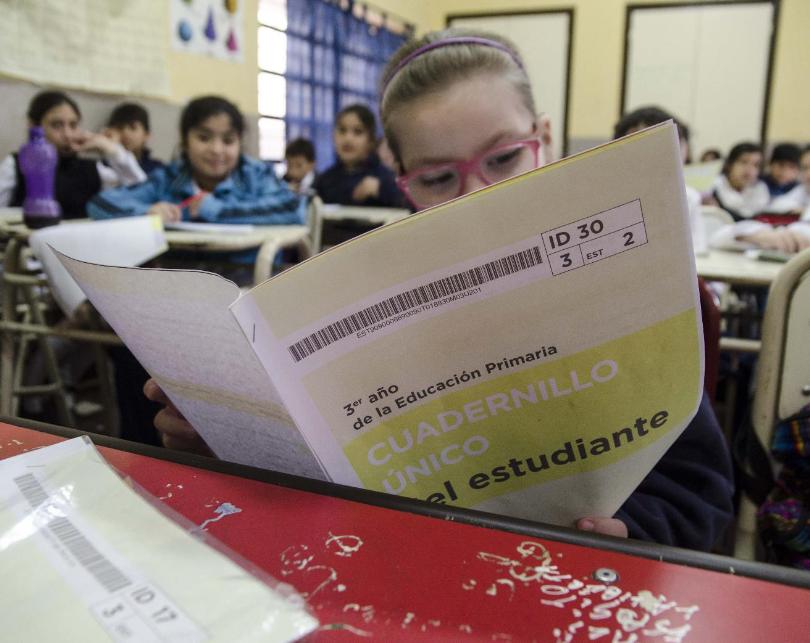 Aprender 2018: buenos resultados para la primaria en Misiones