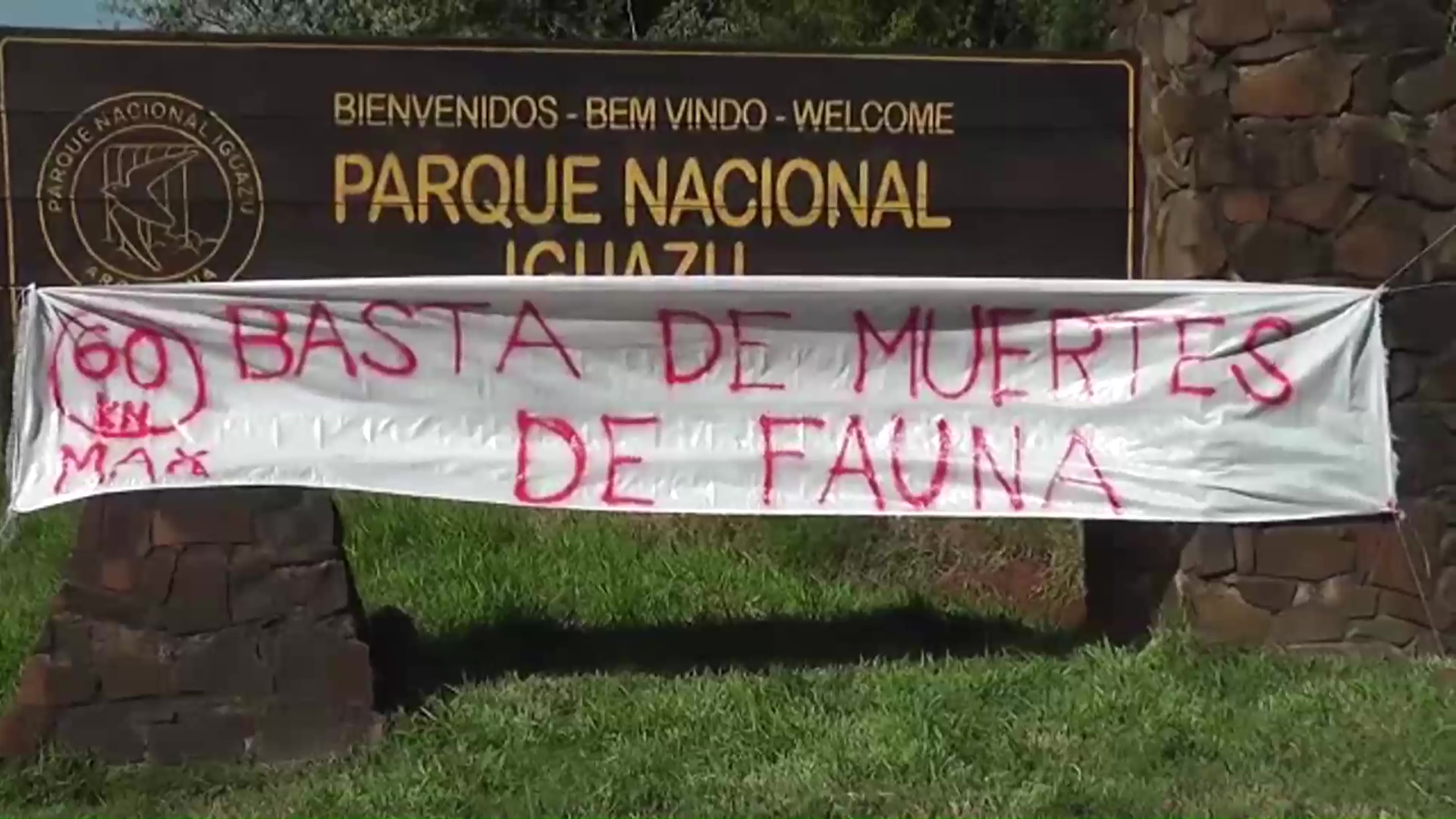 Iguazú. Promueven evitar la muerte de animales silvestres